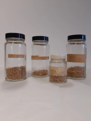 M2004.015 CAC Seed collection, 1890-1917